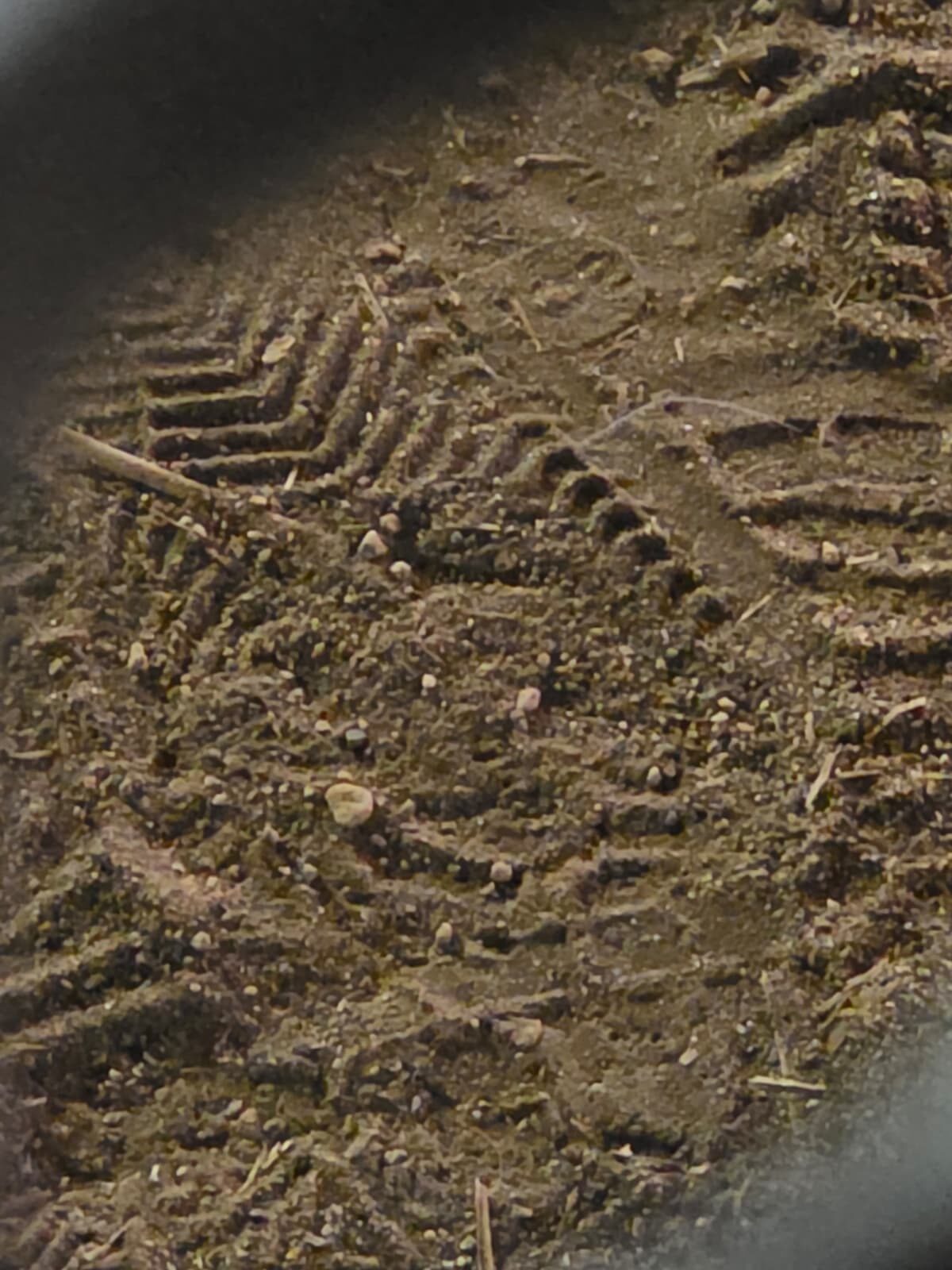 Close-up of tire tracks in dirt as field evidence