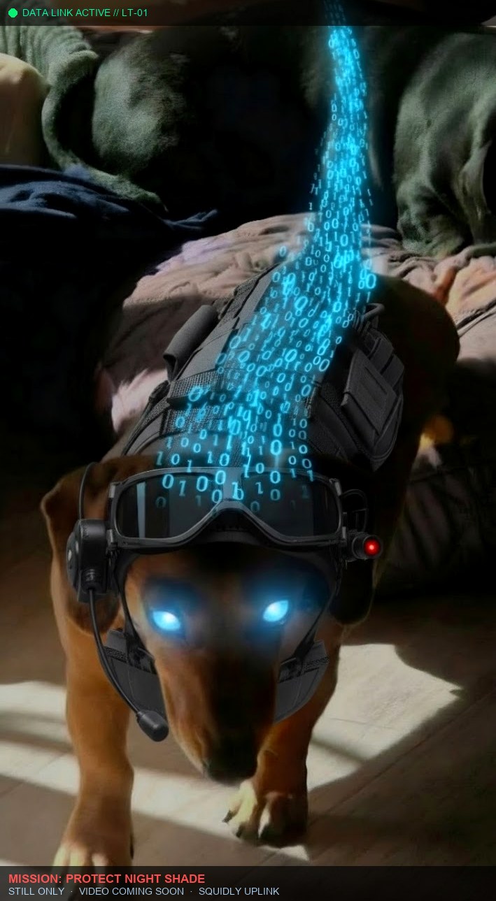 LT data link still
